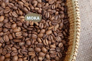 Hạt cà moka