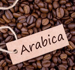 hạt cà arabica
