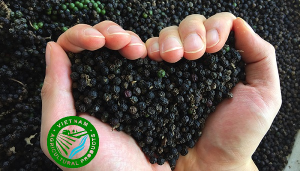 Black Pepper