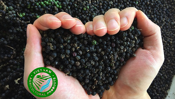 Black Pepper
