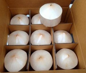 Coconut