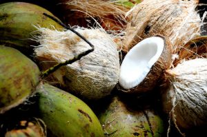 Coconuts 