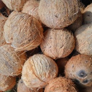 dried coconut