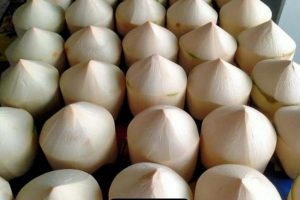 Diamond coconut export