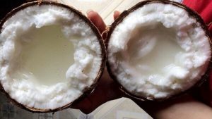 Vietnamese coconut wax