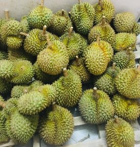 Vietnamese Durian