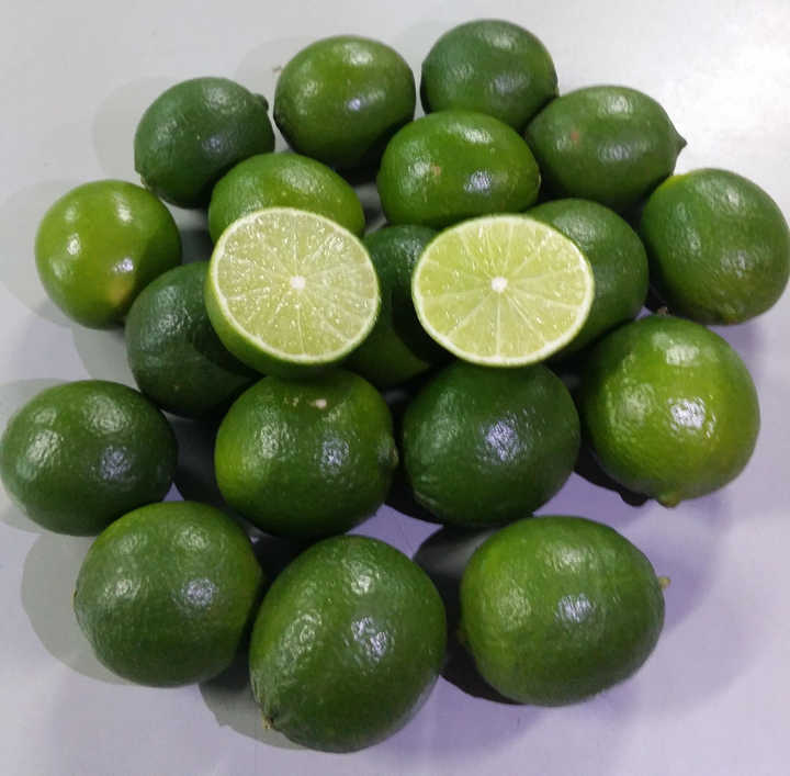 Seedless lemon for export