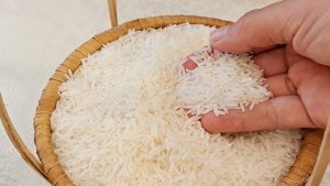 Rice Exports