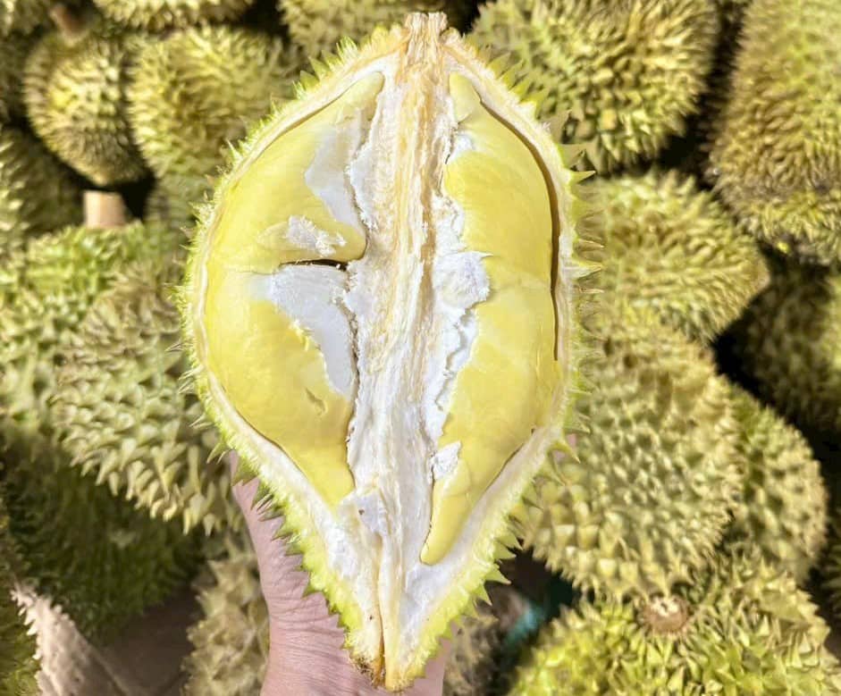 Vietnamese Durian