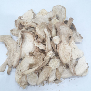 Ginger