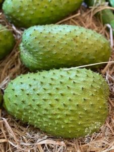 Custard Apple