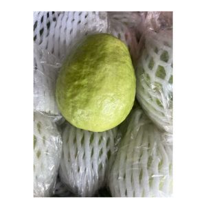 Guava