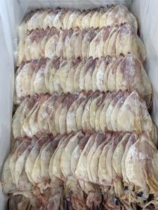 Dried squid for export