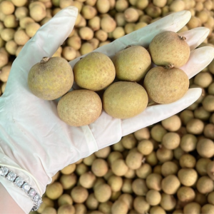 Longan Fruit