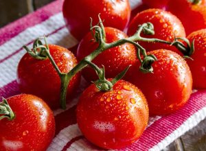 Tomatoes 