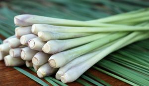 Lemongrass