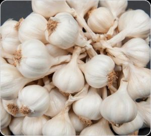 Vietnamese Garlic