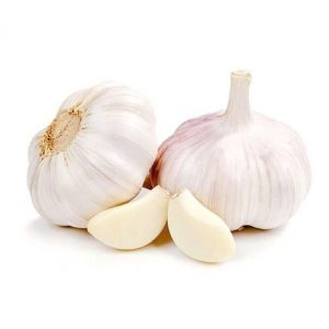 Garlic