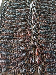 Dried scorpions