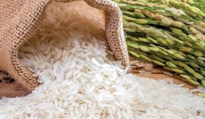 Vietnamese Jasmine Rice