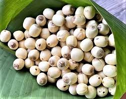 Lotus Seeds