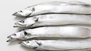 Ribbonfish