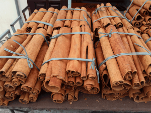 Vietnamese Cinnamon
