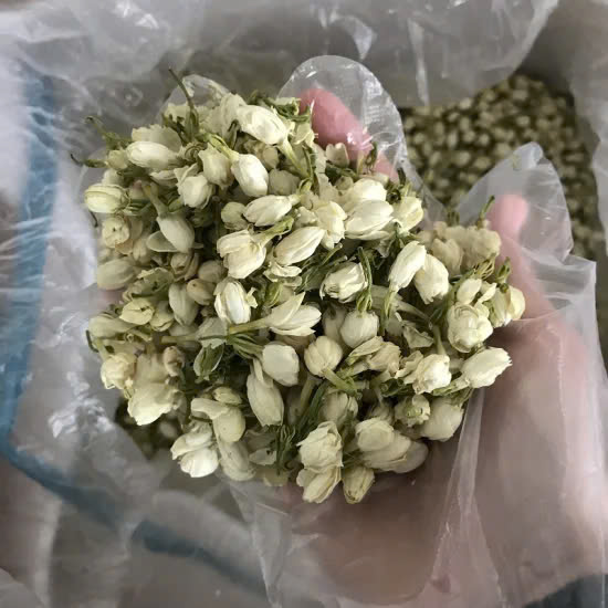Dried jasmine flowers