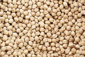 Chickpea