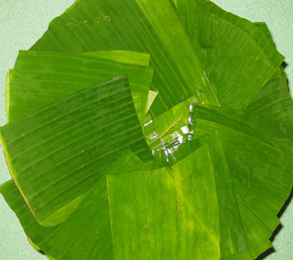 Banana Leaves