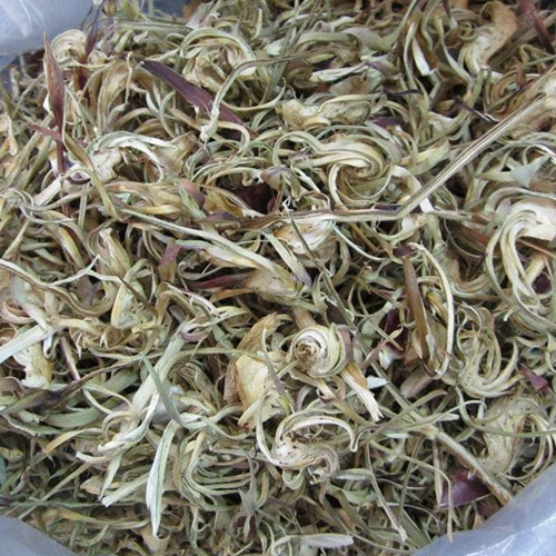 Atiso Vietnamese