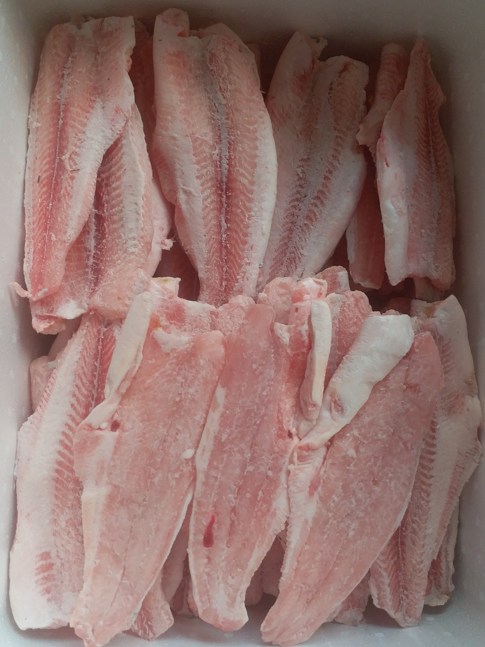 Vietnamese Pangasius Fillet