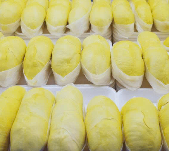 Vietnamese Frozen Durian