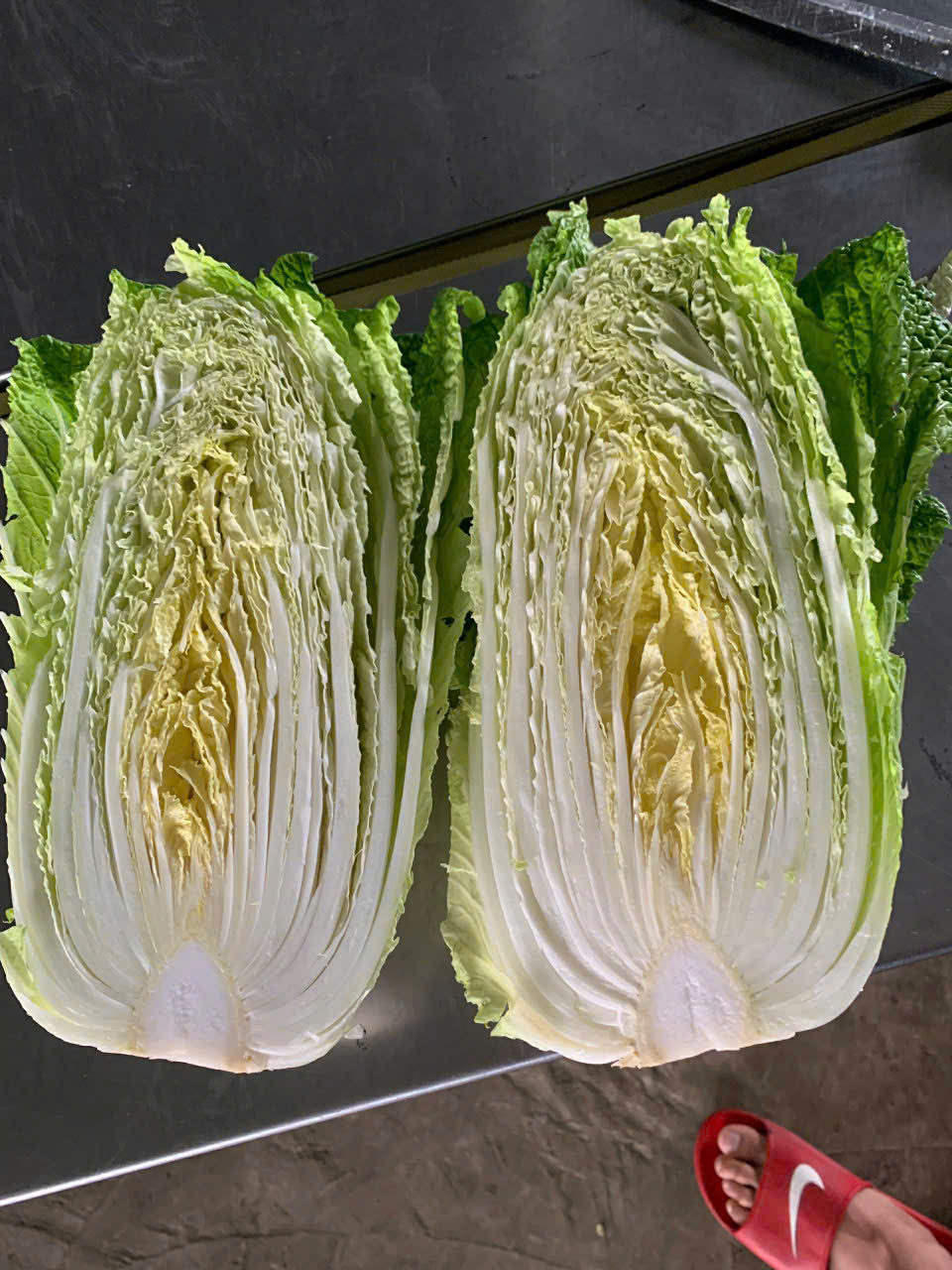 Cabbage Exports