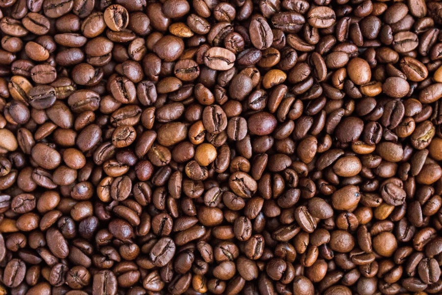 Robusta Coffee