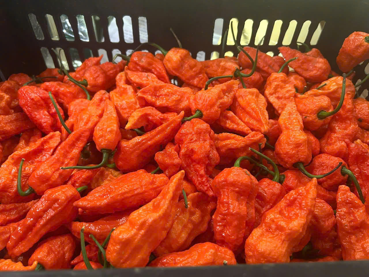 Super Hot Chili