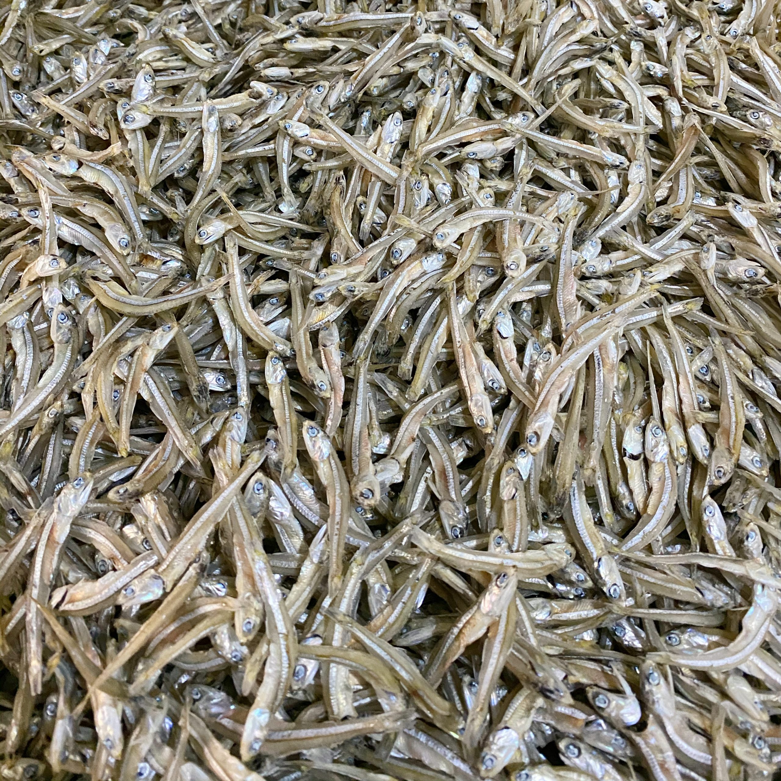 Vietnamese Anchovy