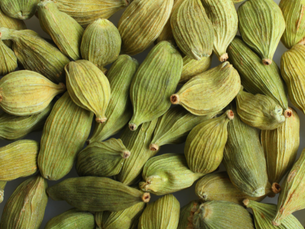 Vietnamese Cardamom