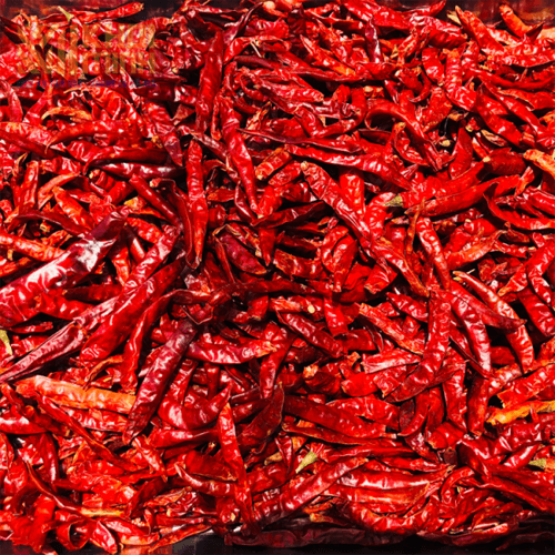 Dried Vietnamese Chili
