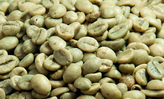 Arabica Green Coffee Beans
