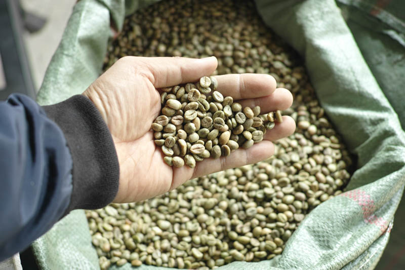 Arabica Green Coffee Beans