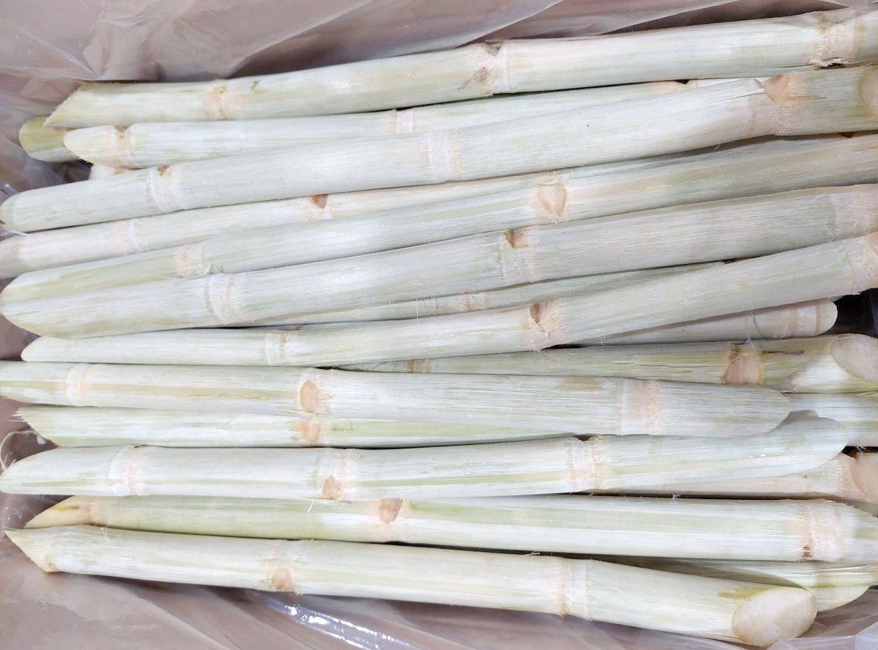 Frozen Sugarcane