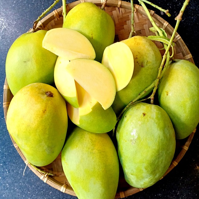 Elephant Mango